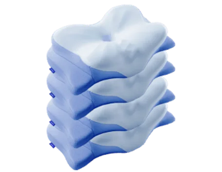 Derila Ergo bundel met vier kussens